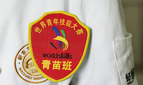 世界技能大赛图4
